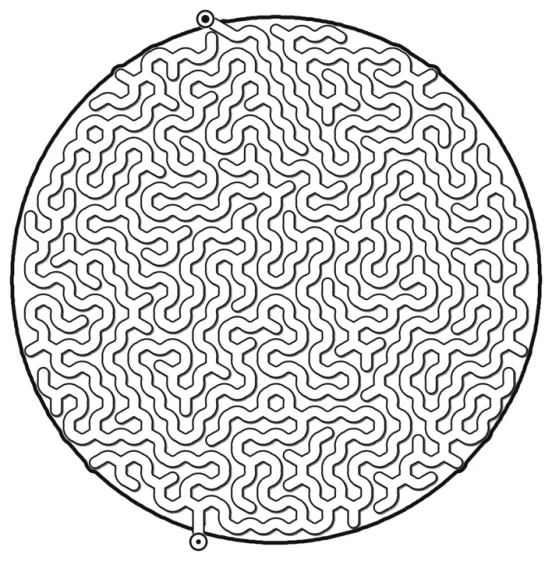 A circular pipe maze