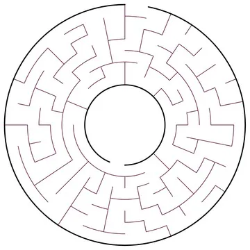 A radial maze of concentric rings and spokes