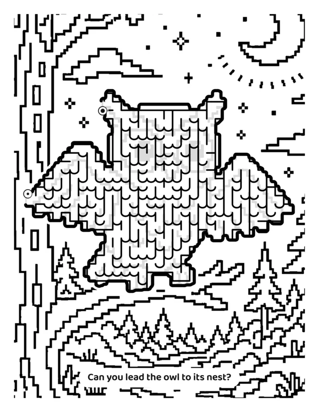 Owl and Nest maze